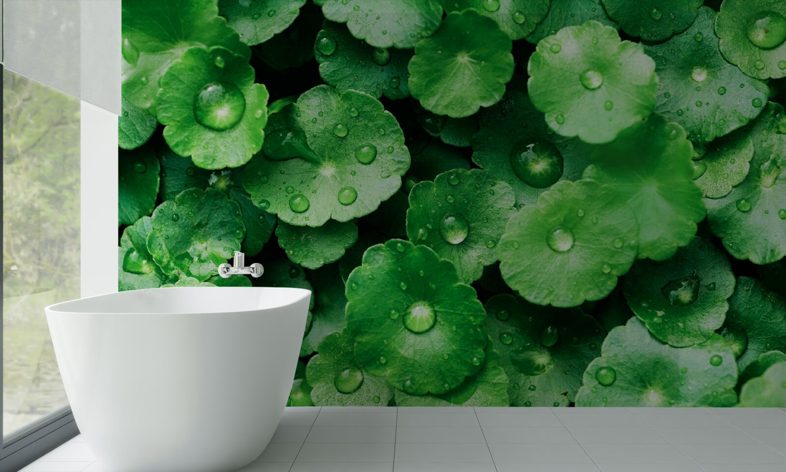 Fototapeta zielone liście pokryte świeżymi kroplami wody