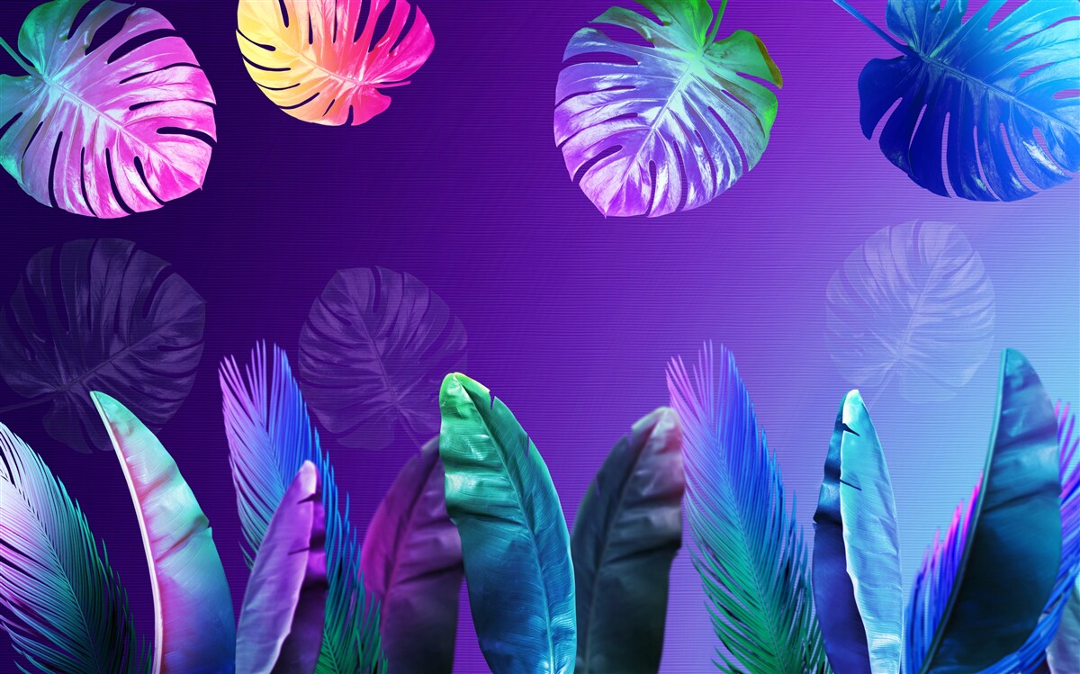 Fototapeta liście tropikalne w odcieniach gradientu