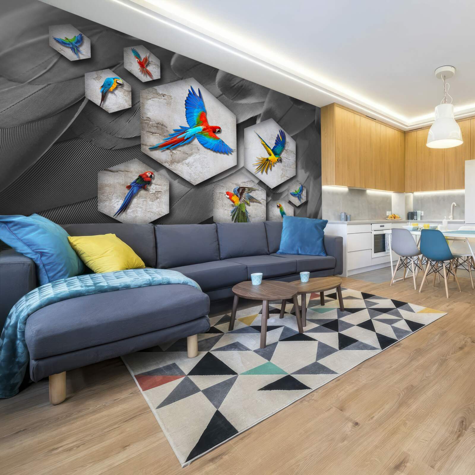 Fototapeta różne rodzaje kolorowych papug