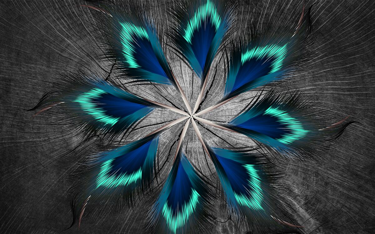 Fototapeta pawie pióra w kształcie gwiazdy z abstrakcyjnym wzorem