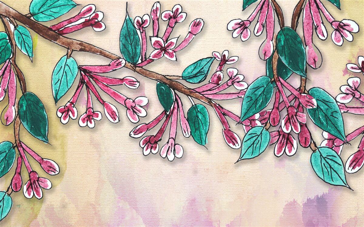 Fototapeta gałąź sakury kwitnie i pozostawia