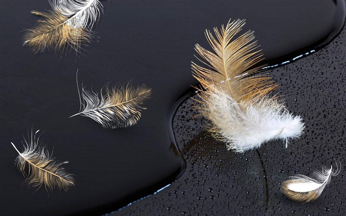 Fototapeta miękki puch w kolorze śnieżnobiałym i złotym