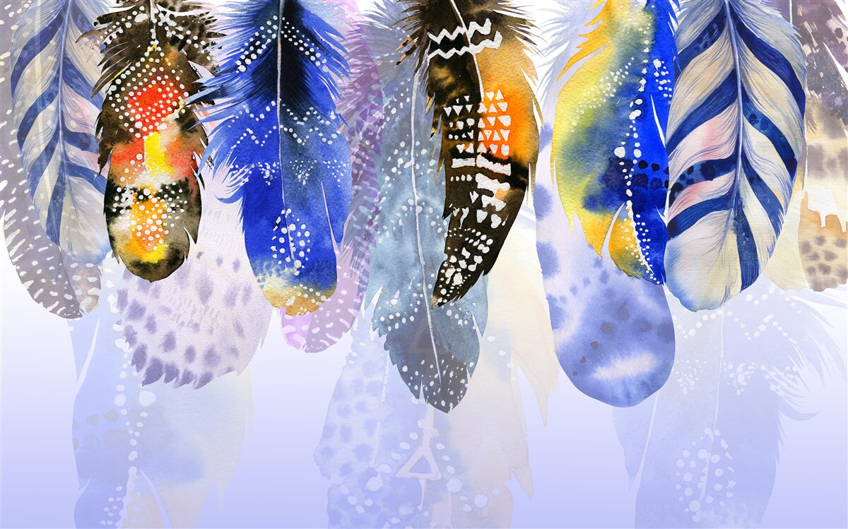 Fototapeta zwisają różne pióra