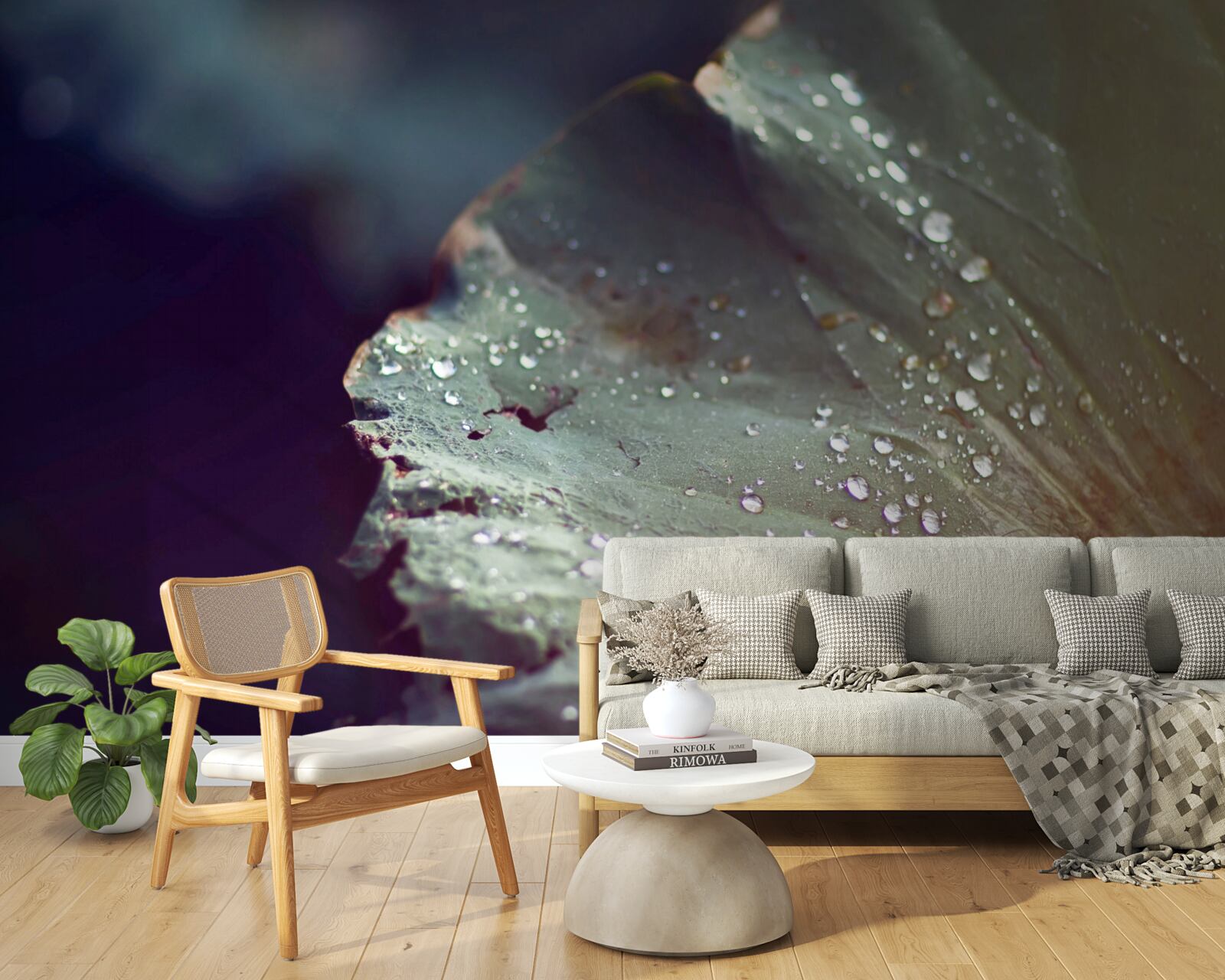 Fototapeta ziarna wczesnej rosy na liściu