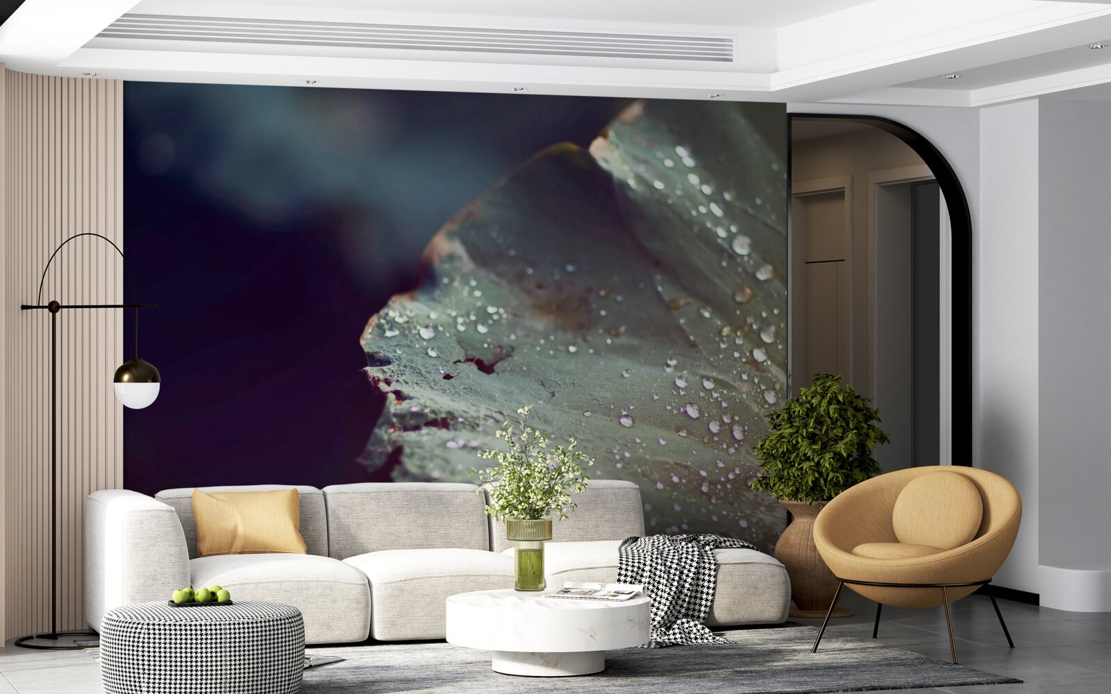 Fototapeta ziarna wczesnej rosy na liściu