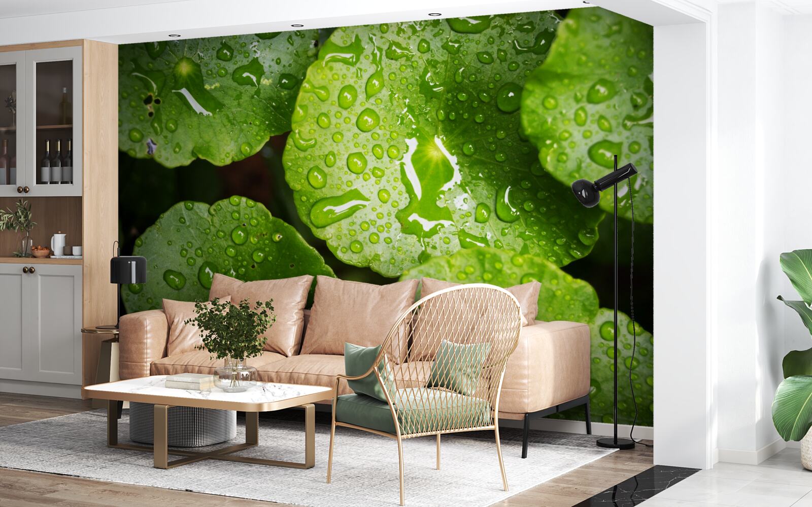 Fototapeta liście obmyte kroplami deszczu nabrały bogatego zielonego odcienia