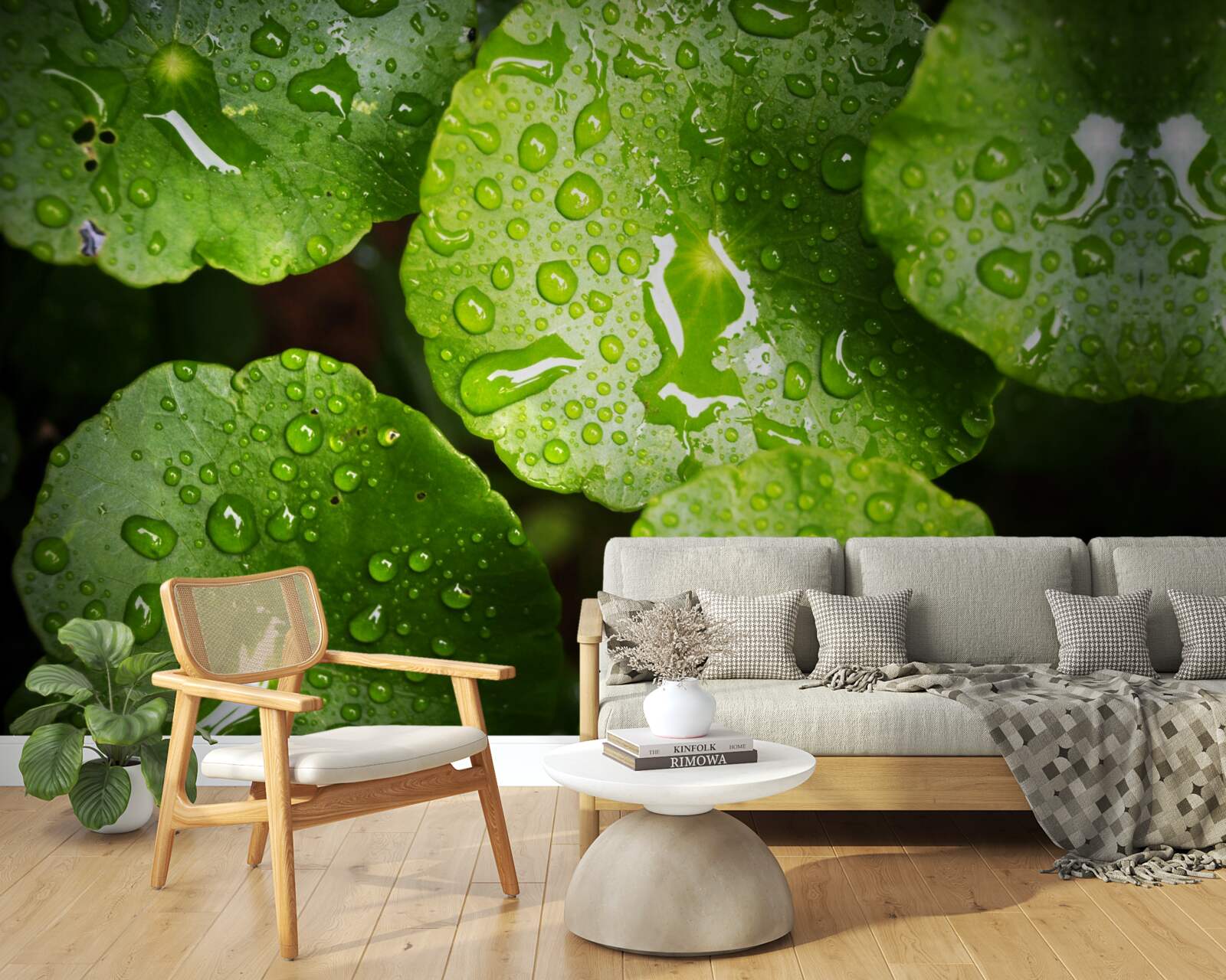 Fototapeta liście obmyte kroplami deszczu nabrały bogatego zielonego odcienia