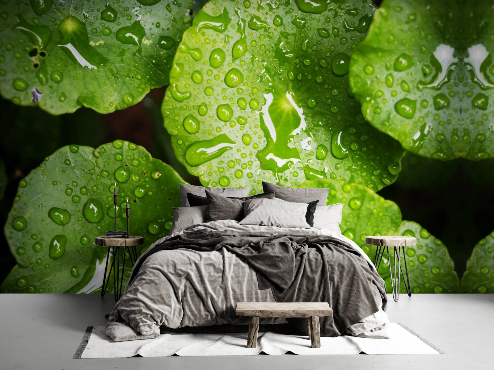 Fototapeta liście obmyte kroplami deszczu nabrały bogatego zielonego odcienia