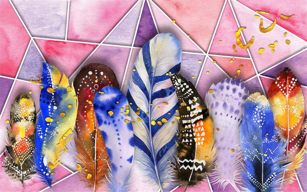 Fototapeta kolorowe pióra w różnych odcieniach