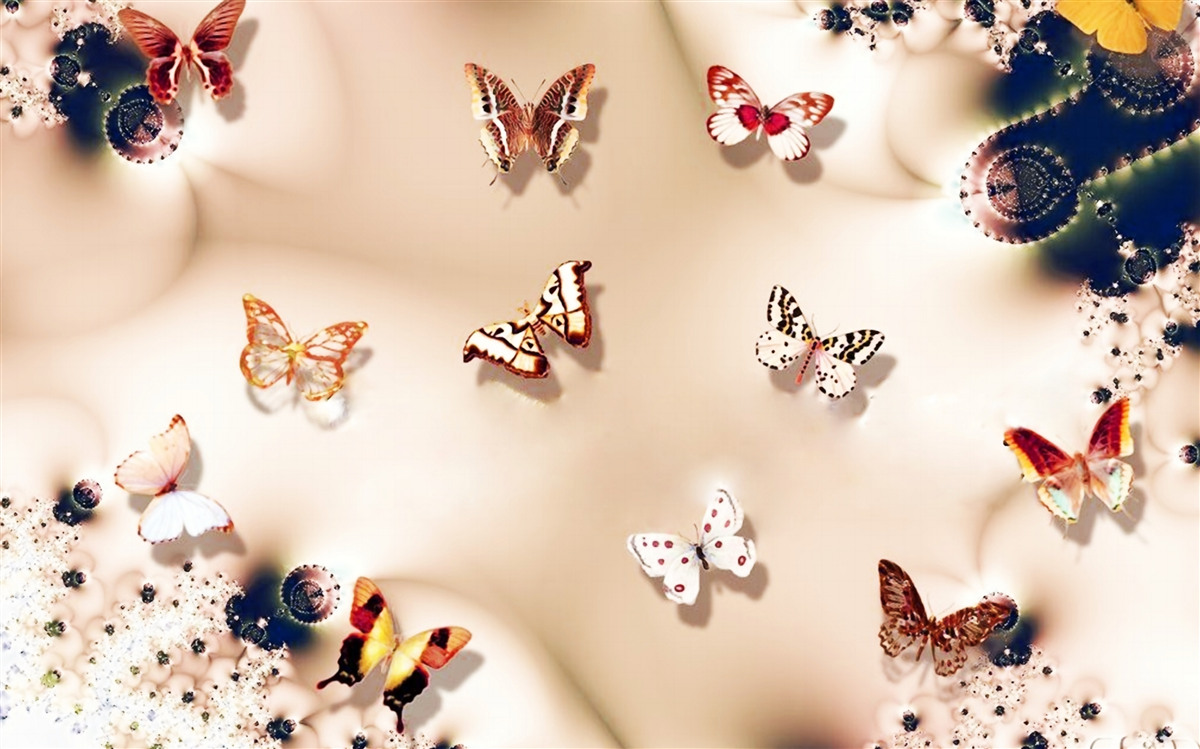 Fototapeta motyle w różnych kolorach na różowym jedwabiu