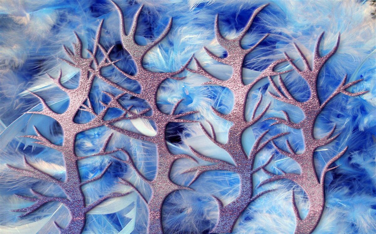 Fototapeta las w mroźnej zimie