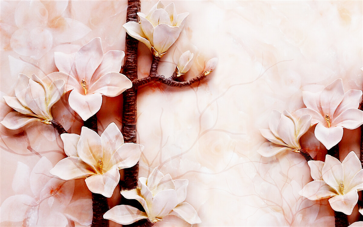 Fototapeta gałęzie pełnej wdzięku różowawej magnolii