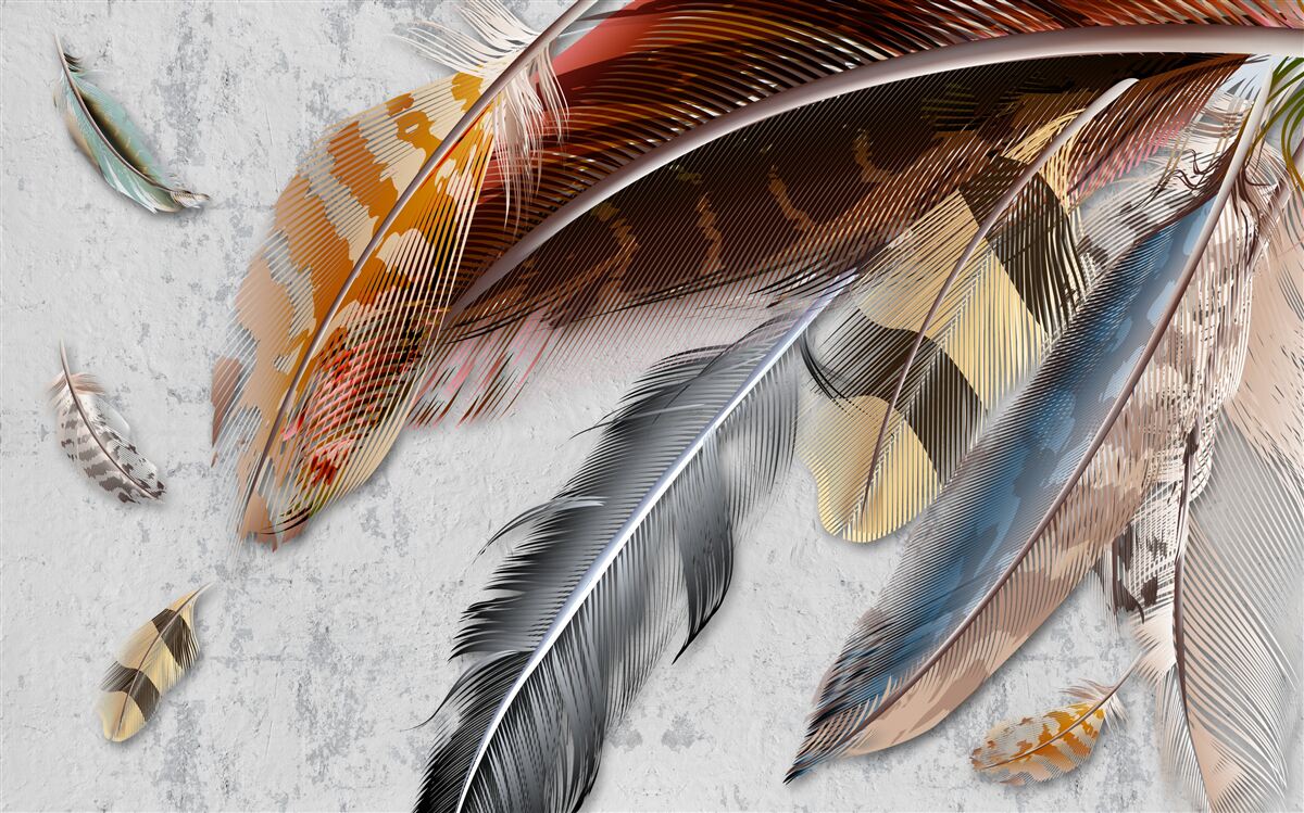 Fototapeta pióra różnych gatunków ptaków