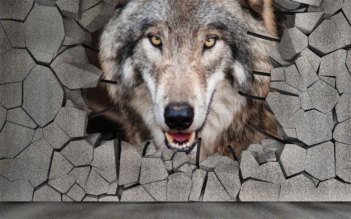 Fototapeta wilk z lasu niszczy ścianę