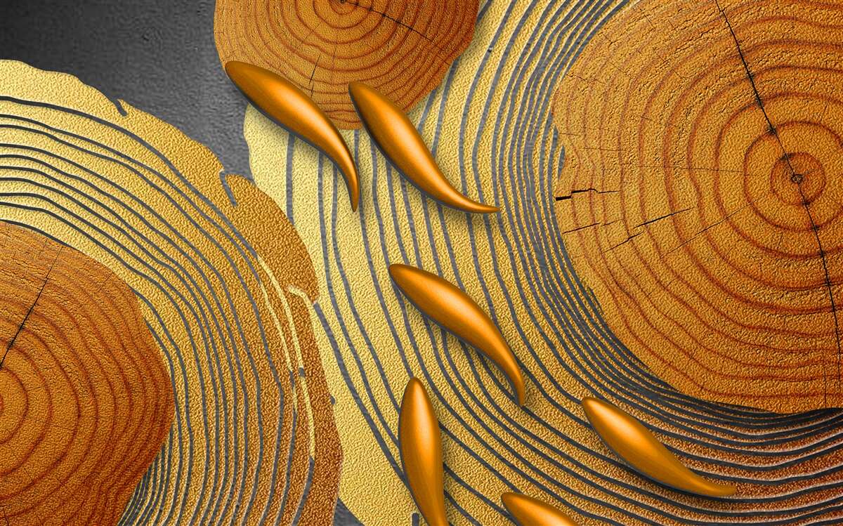 Fototapeta rzeźby na drzewach ozdobione są złotą rybką