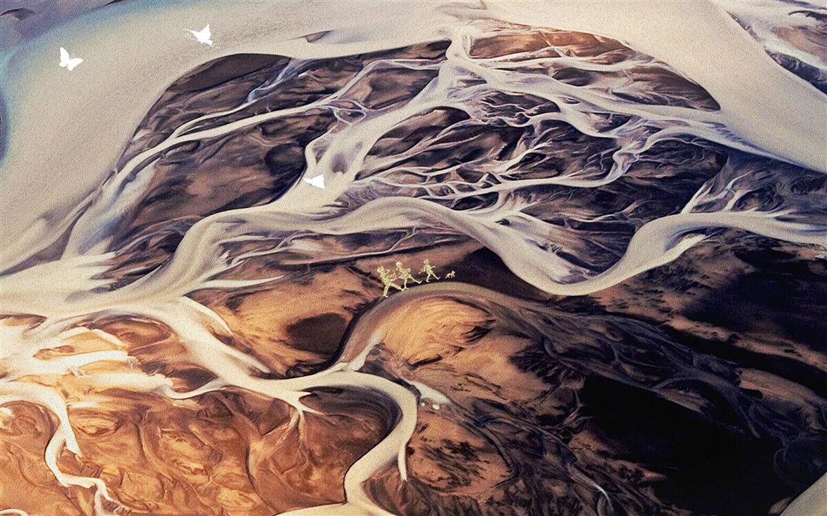 Fototapeta fałszywa sylwetka drzewa narysowana na piasku