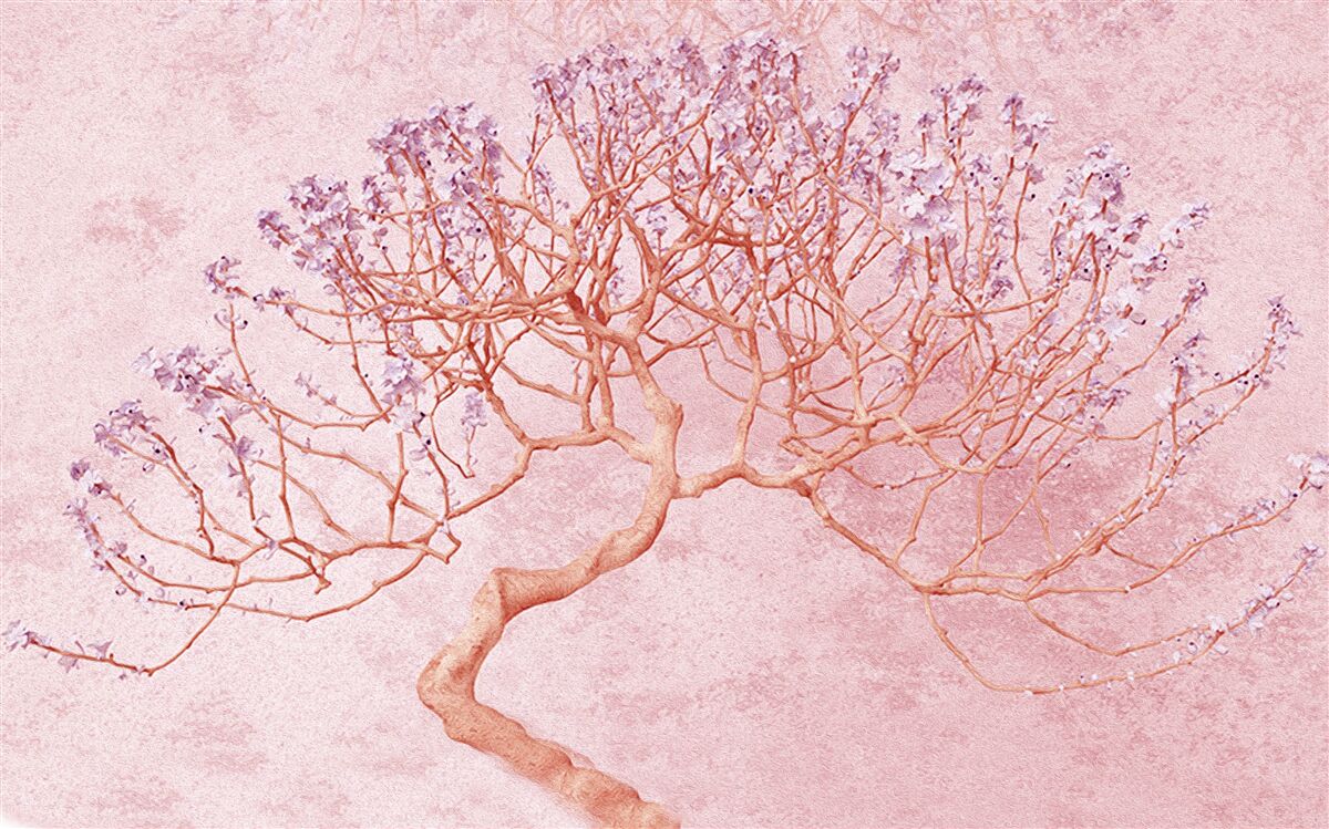 Fototapeta kwitnące drzewo z delikatnymi różowymi kwiatami