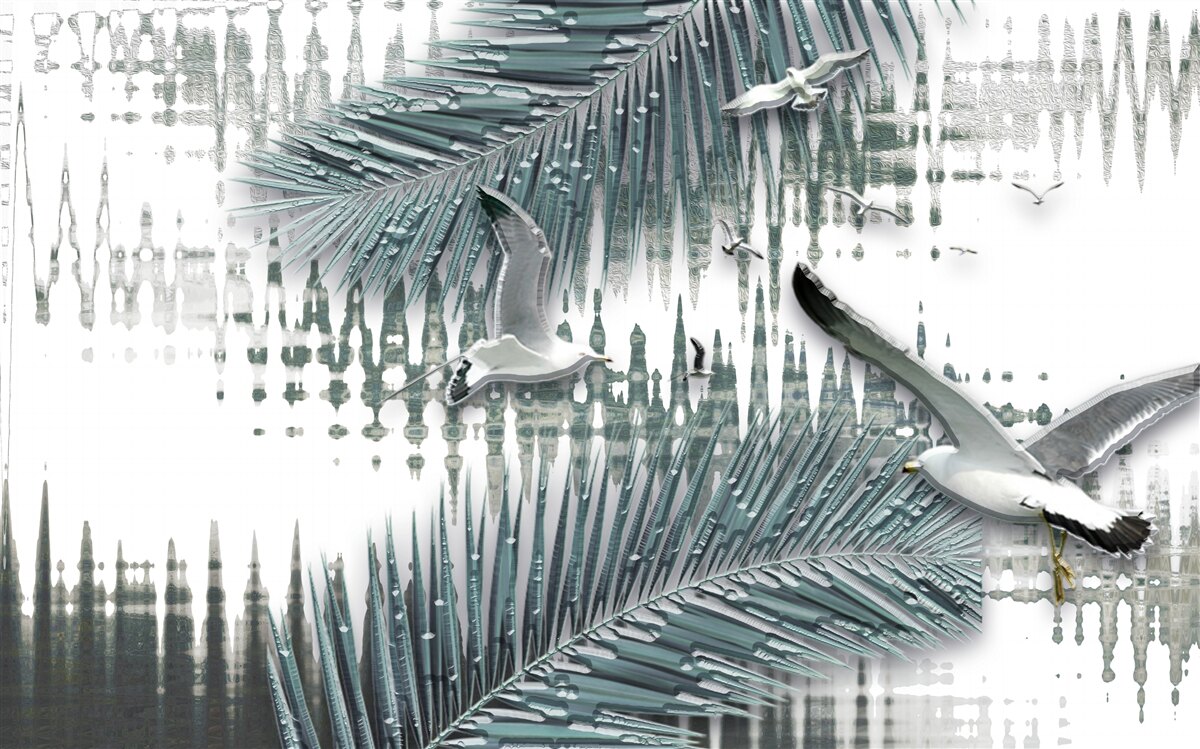 Fototapeta mewy i pióra