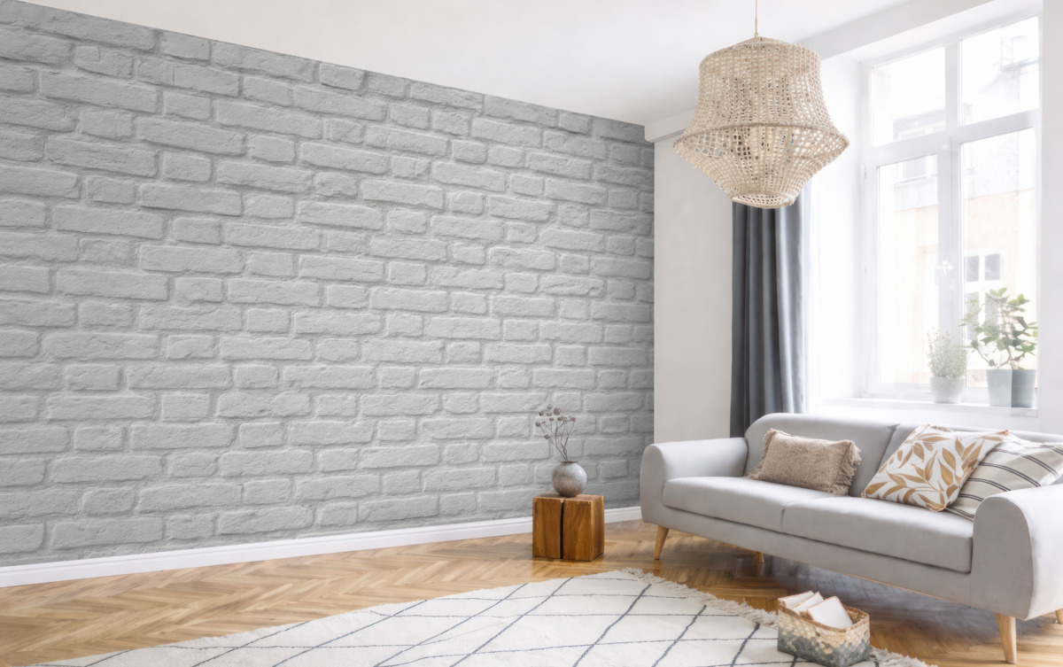 Fototapeta Roślina, liść oraz botanika.