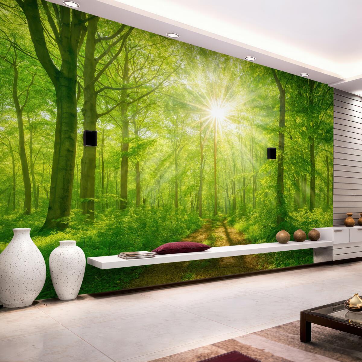 Fototapeta Trasa w nasłonecznionym lesie.