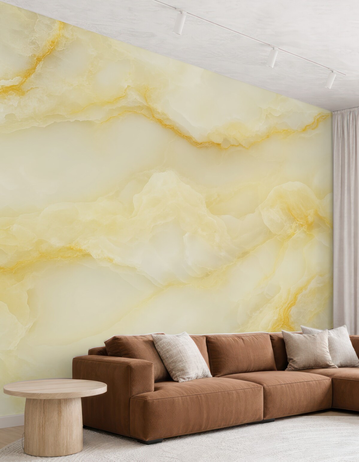 Fototapeta Kwiat, roślina oraz zdjęcie.