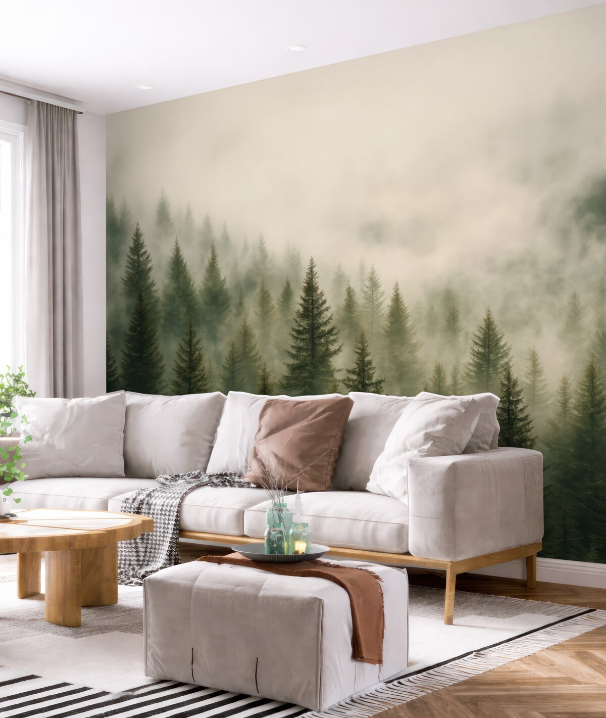 Fototapeta Las w oparach mgły.