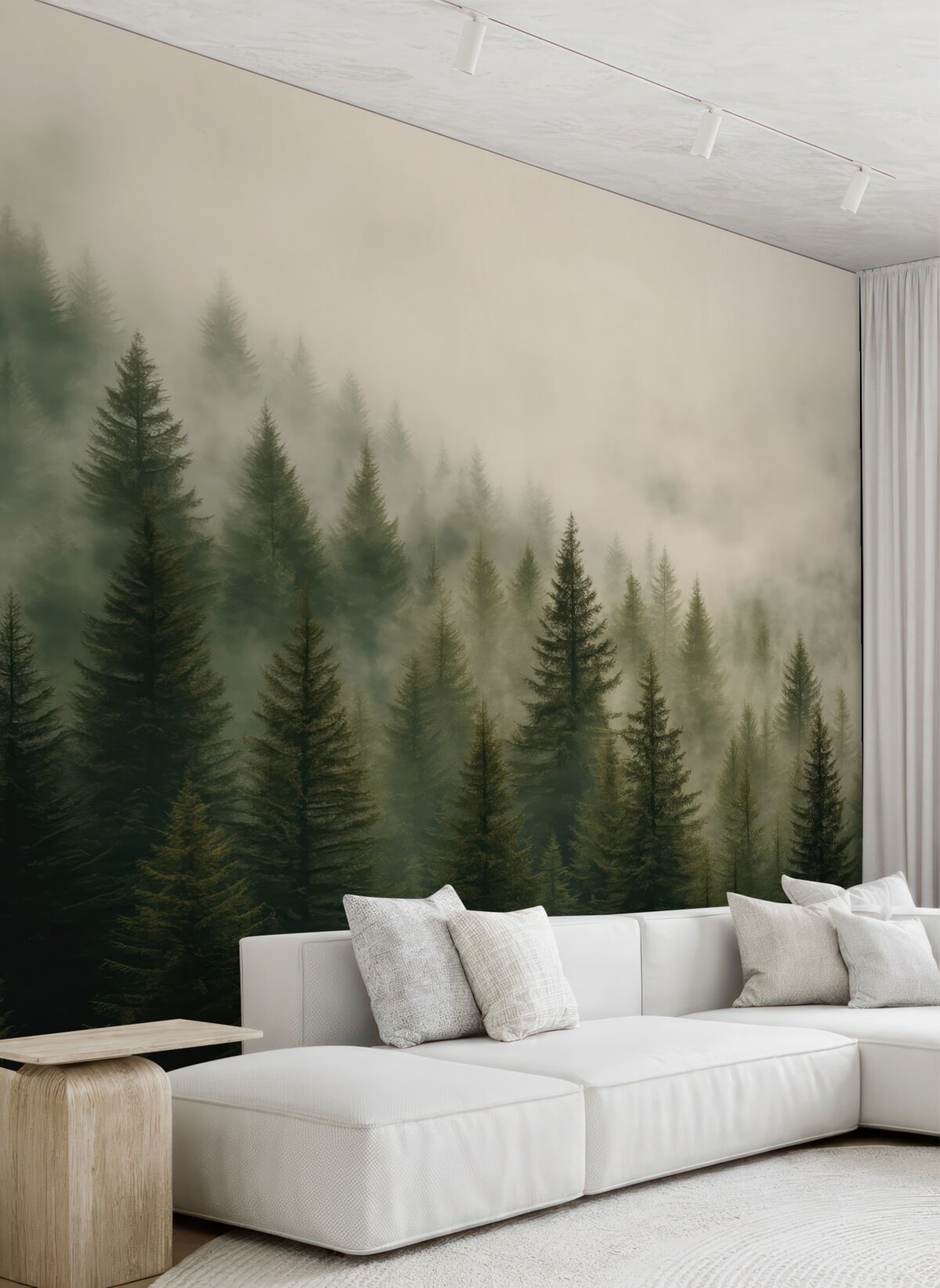 Fototapeta Las w oparach mgły.