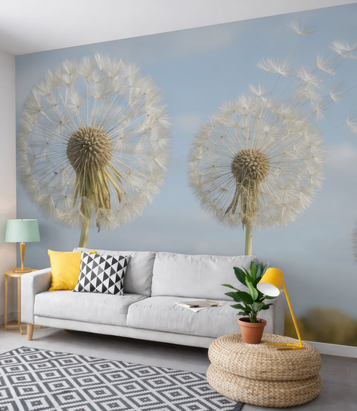 Fototapeta Wielkie mlecze.