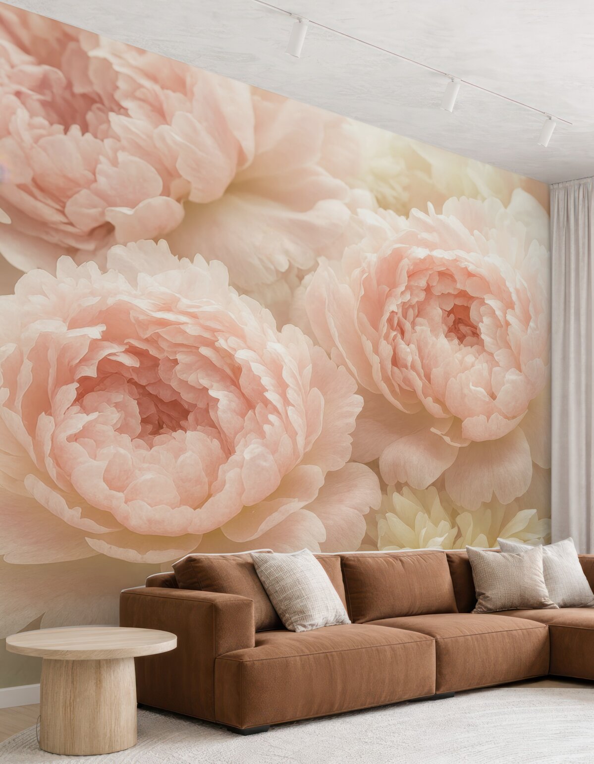 Fototapeta Subtelne piwonie.