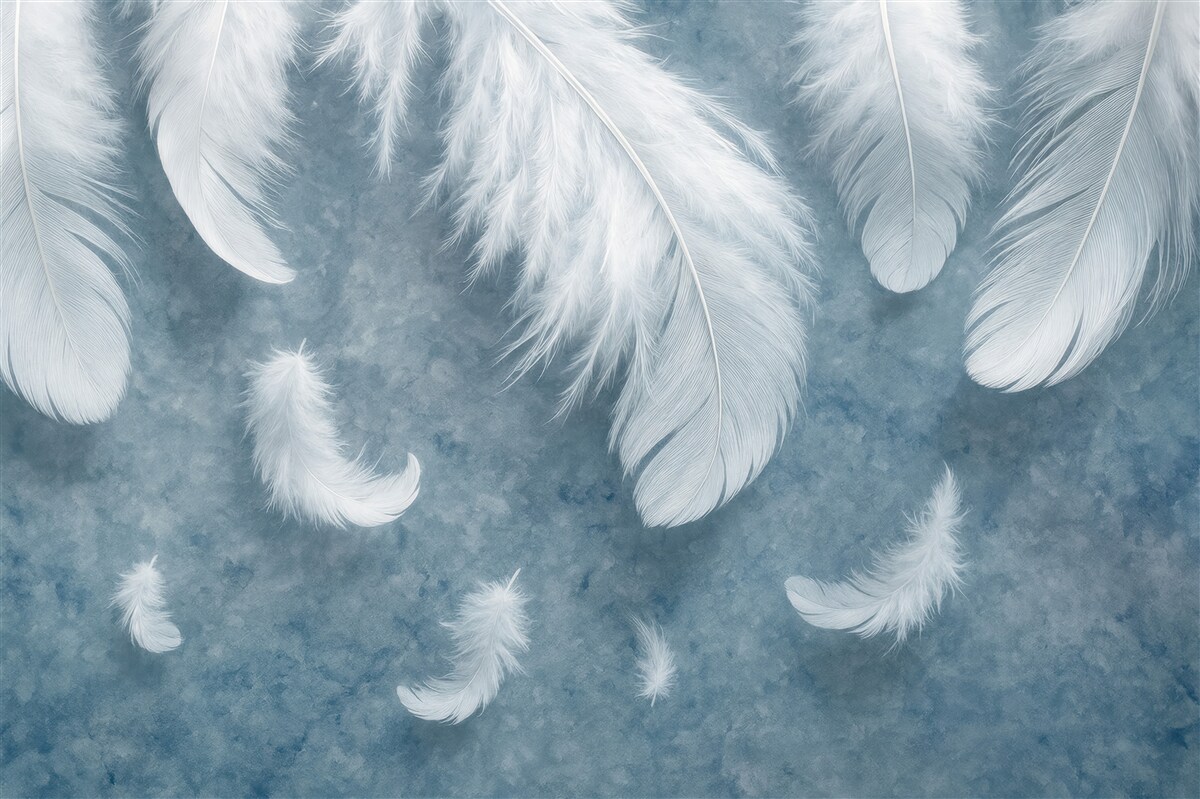 Fototapeta Subtelne pióra na gładkiej nawierzchni.