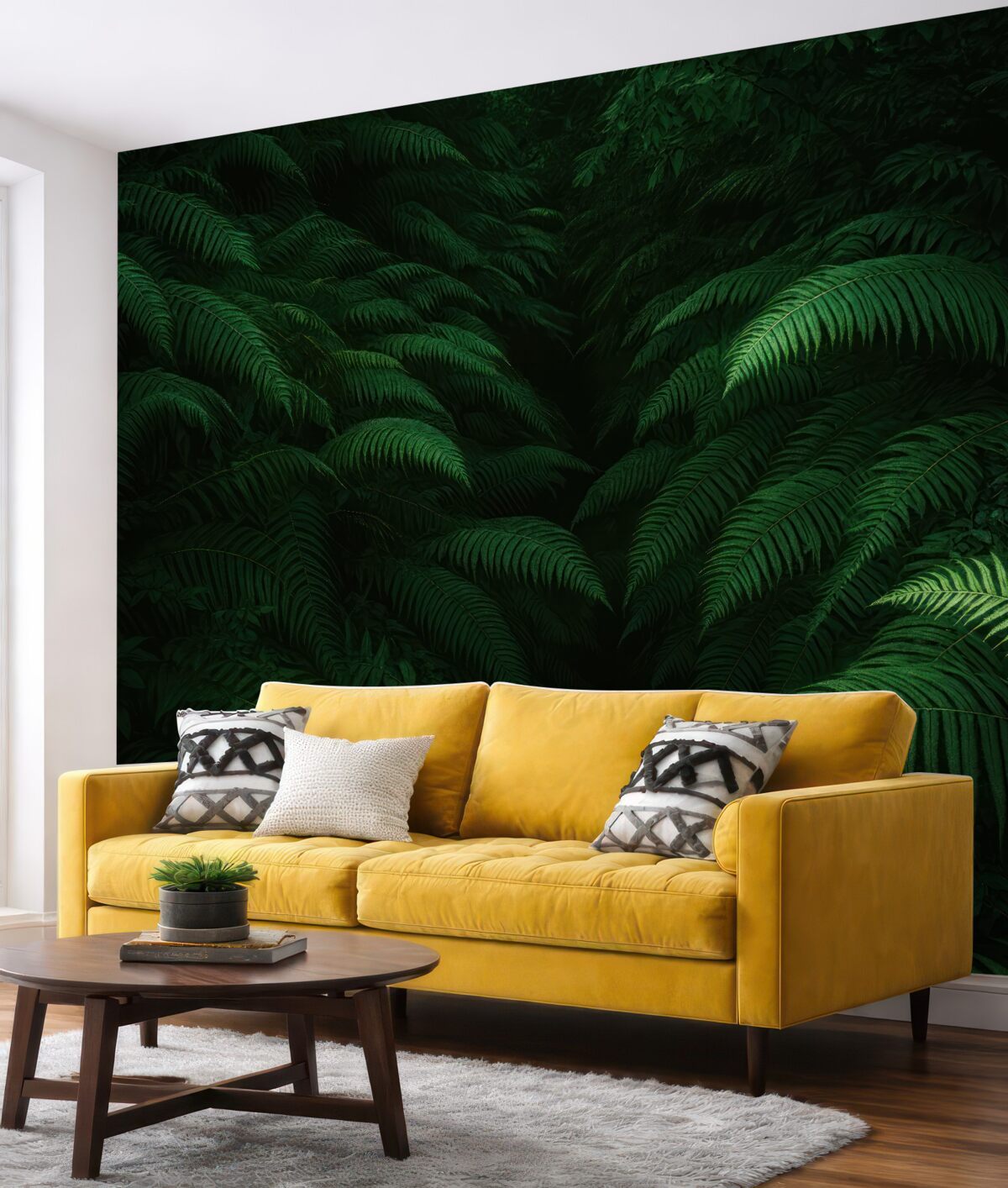 Fototapeta Zarośla fernów.