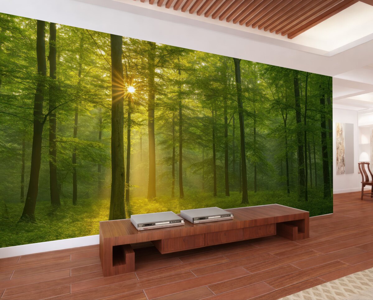 Fototapeta Spokój w słonecznym lesie.