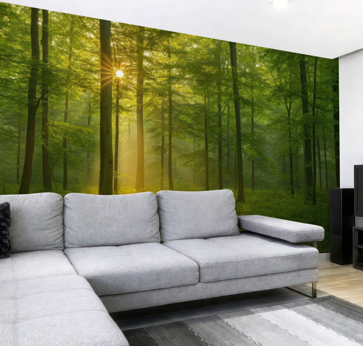 Fototapeta Spokój w słonecznym lesie.