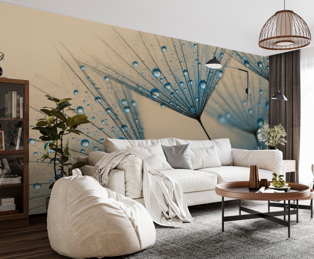 Fototapeta Mlecze z taszącymi kroplami wody.