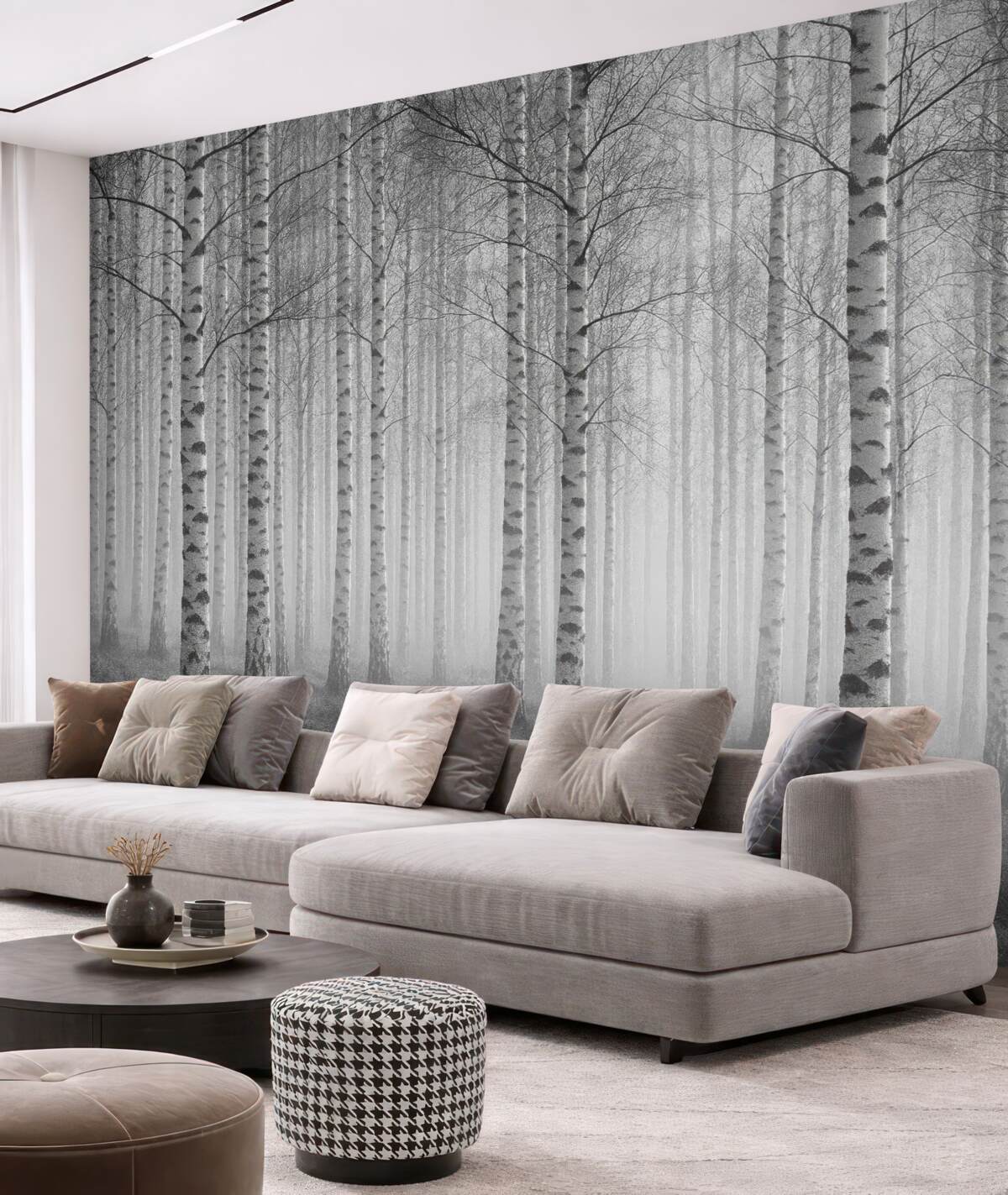 Fototapeta Poranna mgła w lesie brzozowym.