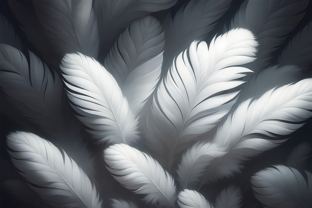 Fototapeta Błyszczące pióra.