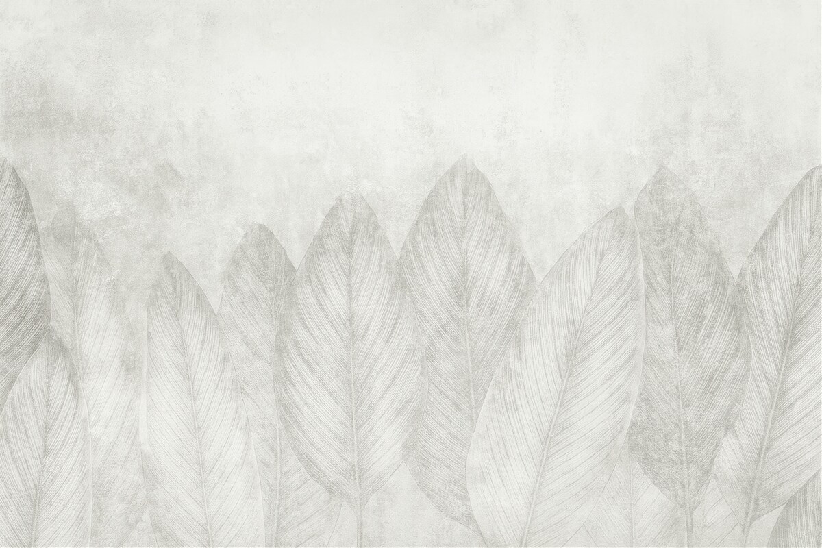 Fototapeta Wsp współczesne liście palmowe na betonowej powierzchni.