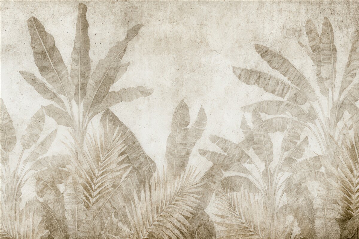 Fototapeta Liście bananowca na betonowej ścianie.