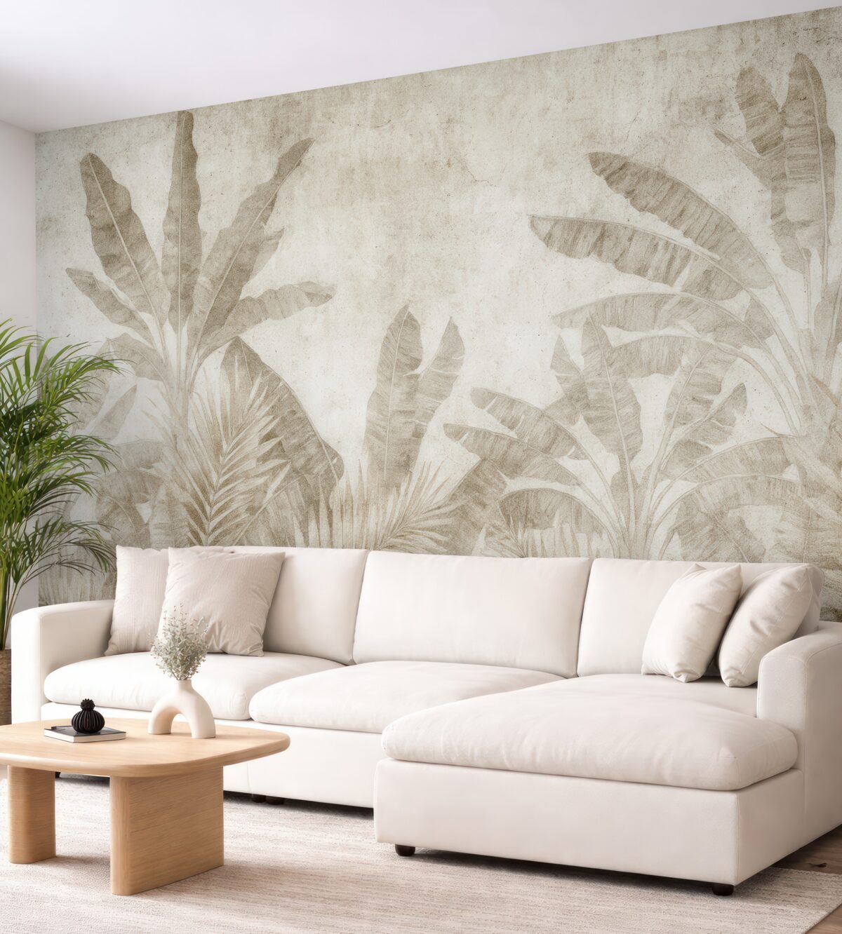 Fototapeta Liście bananowca na betonowej ścianie.