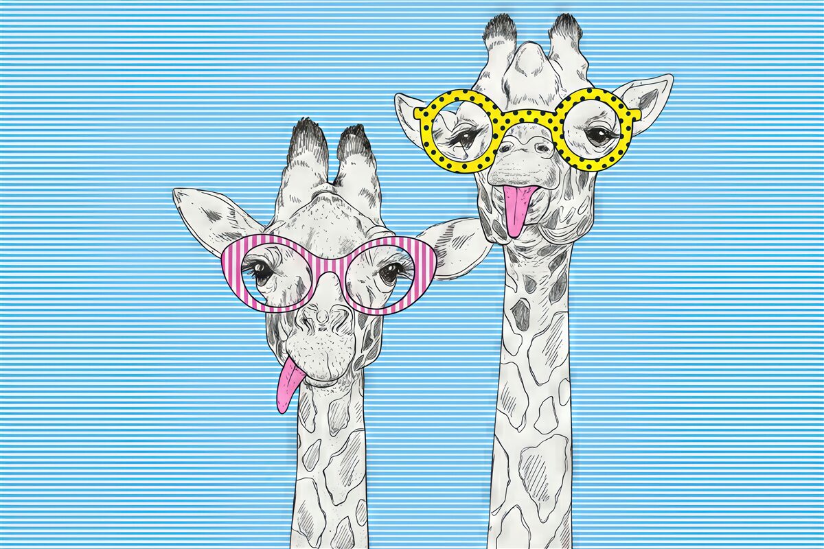 Fototapeta Żyrafy w niezwykłych, modnych okularach.