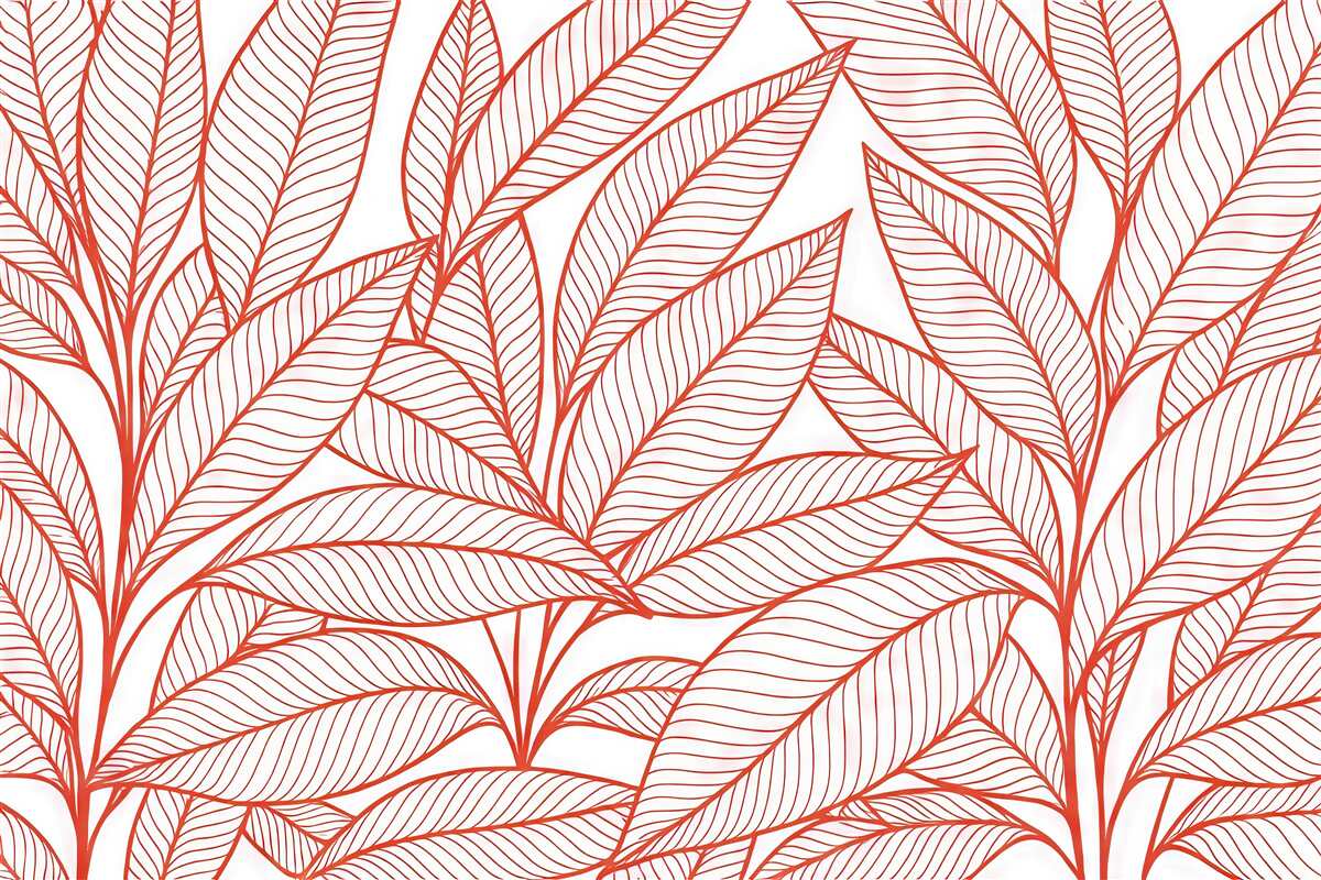 Fototapeta Szkic liści