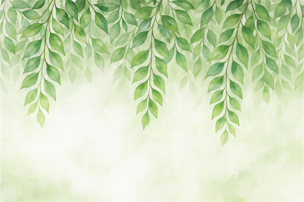 Fototapeta Zielone liściaste.