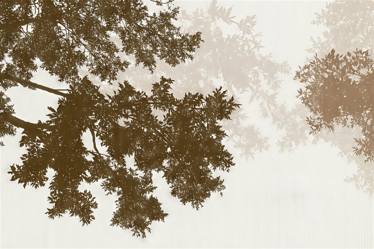 Fototapeta Sylwetki konarów drzew w tonach brązu.