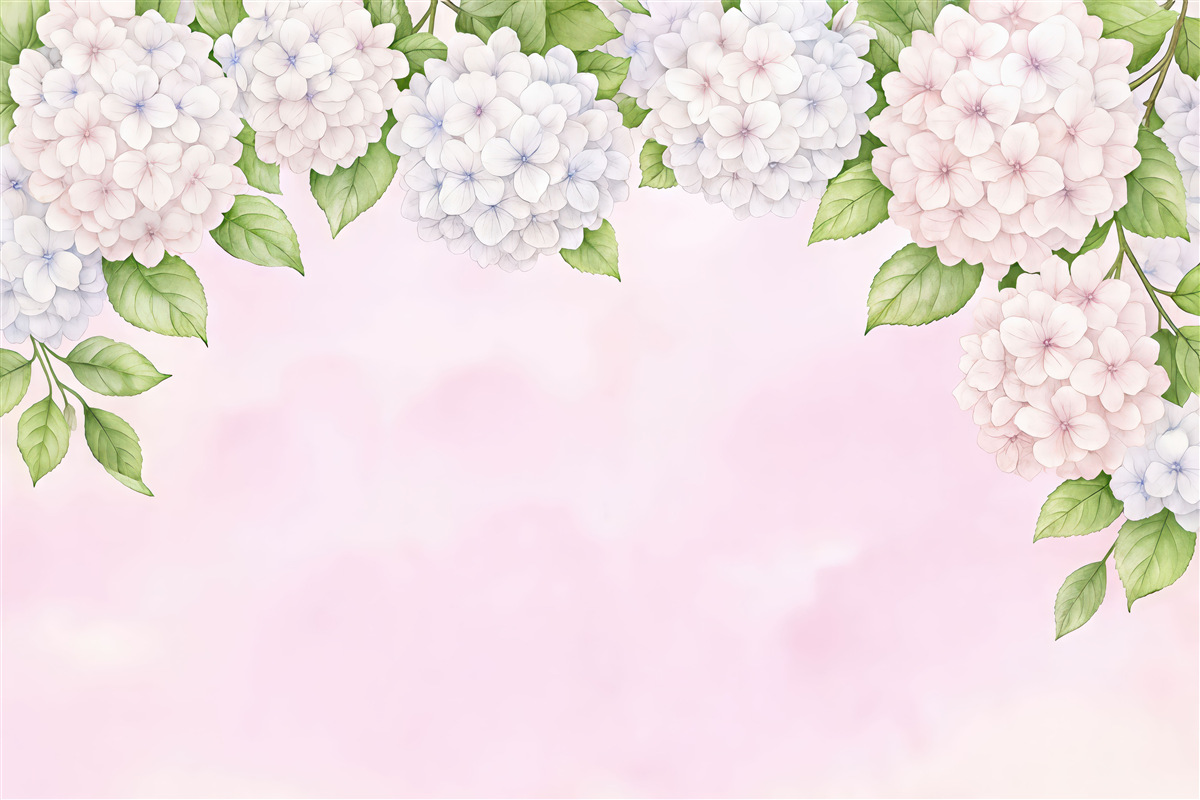 Fototapeta hortensja, kwiaty z góry, purpurowa hortensja, różowy background, akwarela