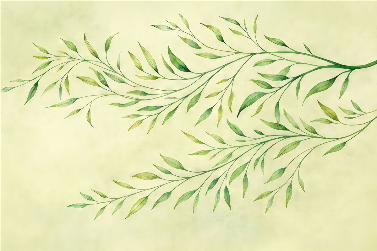 Fototapeta gałęzie z liśćmi, delikatne gałązki, gałęzie na oliwkowym tle, akwarela