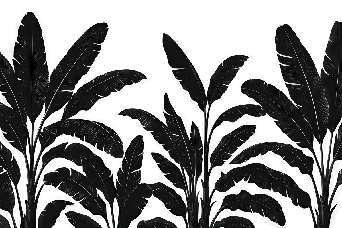 Fototapeta czarne liście banana