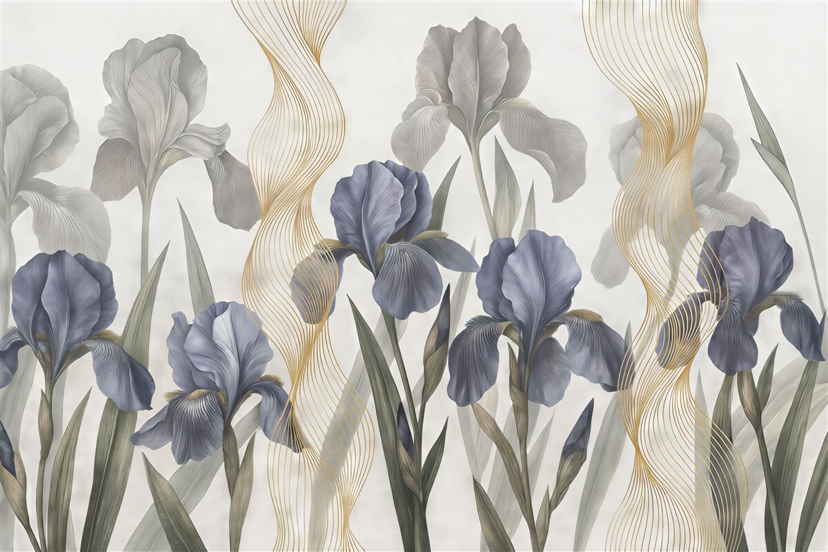 Fototapeta Tęczówki oraz linie.