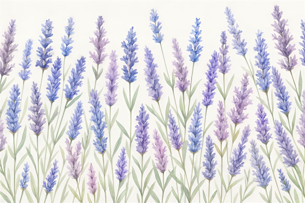 Fototapeta Pędzel w delikatnych barwach kwitnącej lawendy.