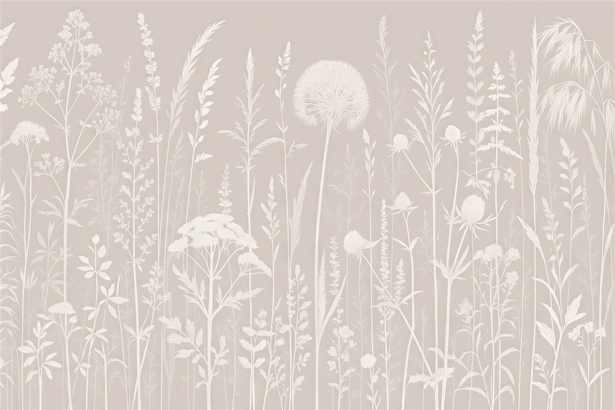 Fototapeta Subtelne rośliny łąkowe i oszczędność kwiatów