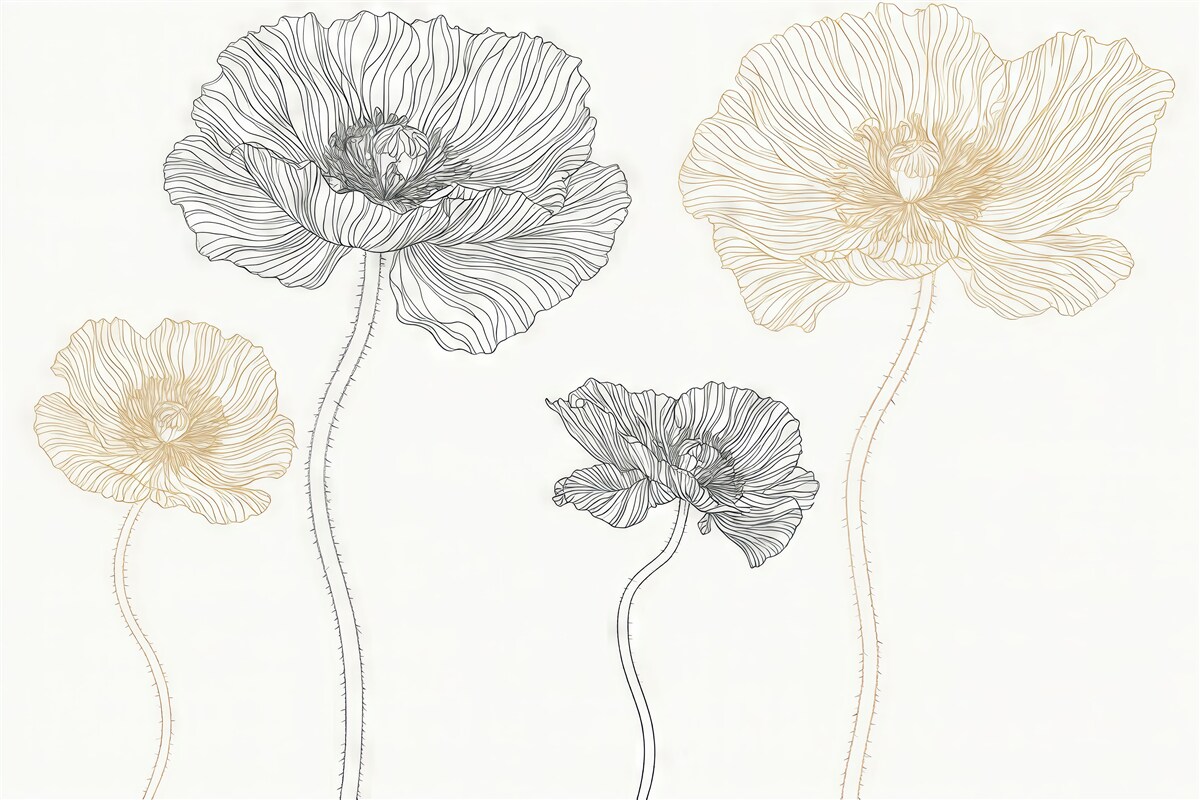 Fototapeta Maki z rysunkami.